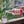 Load image into Gallery viewer, Gin Lane 1751 'Victoria' Pink Gin