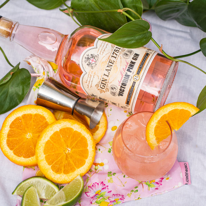 Gin Lane 1751 &